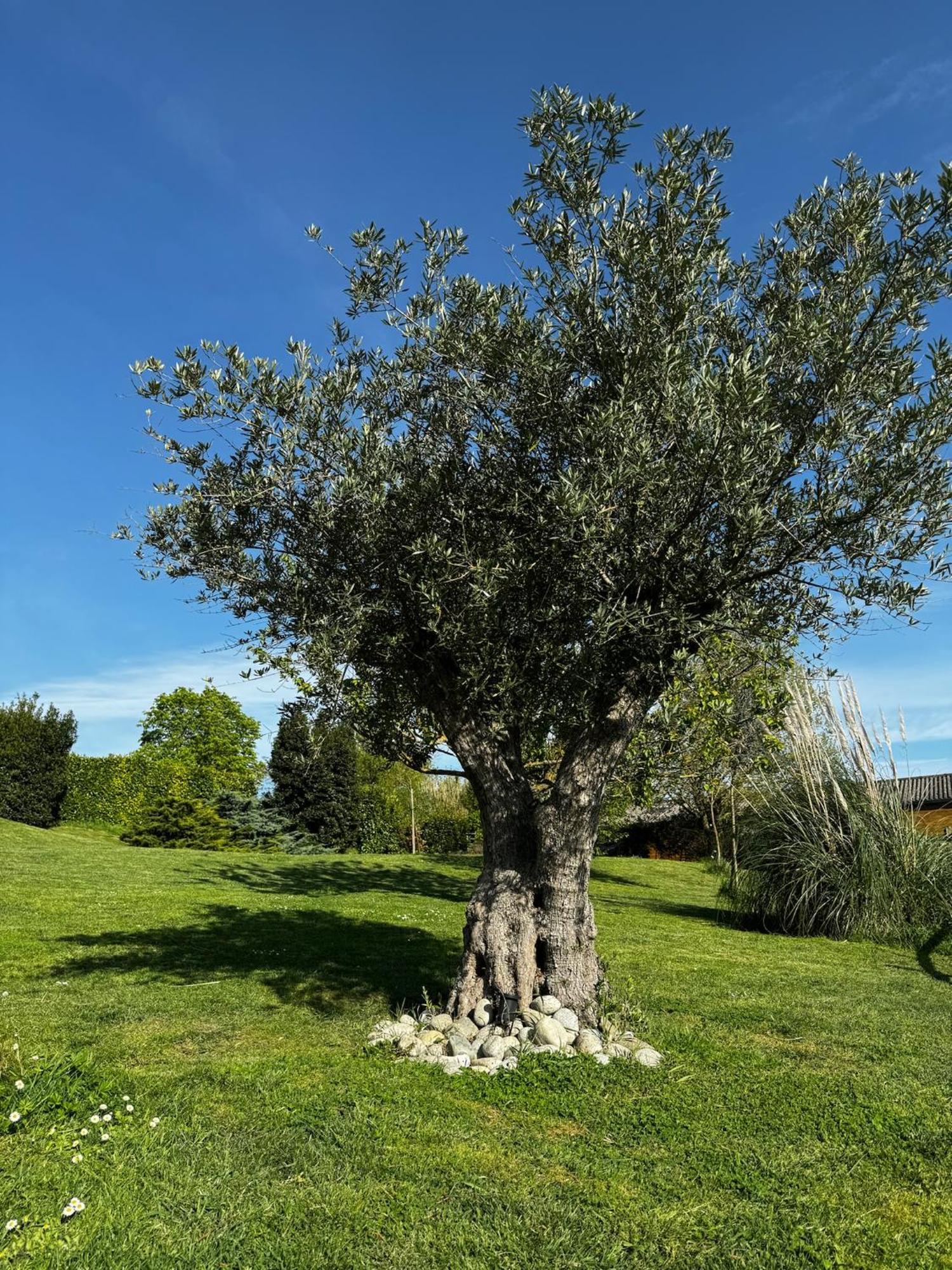 Domaine Horizon Villa Toulouse Bagian luar foto